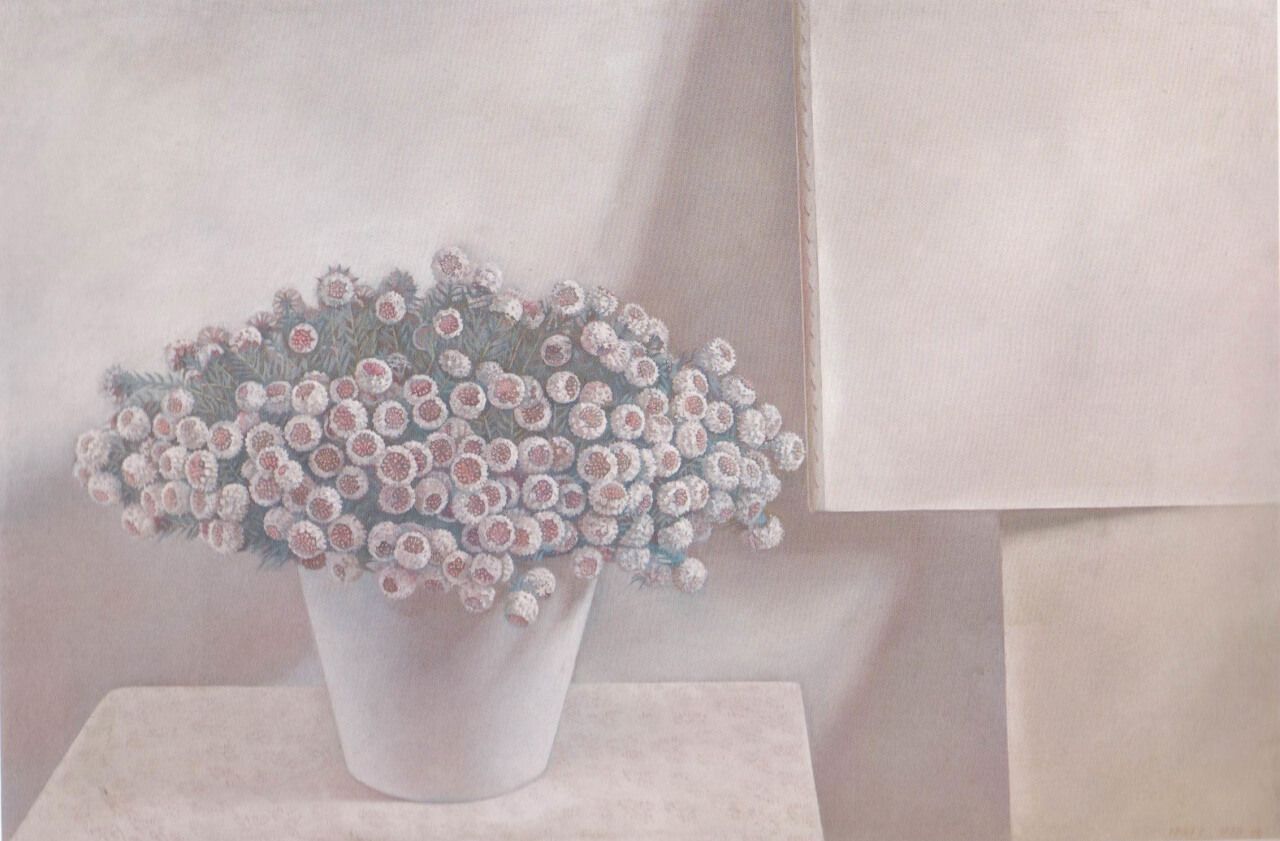 7《雪菊》85×60cm布面油画2005年